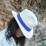 Le Panama - Bleu